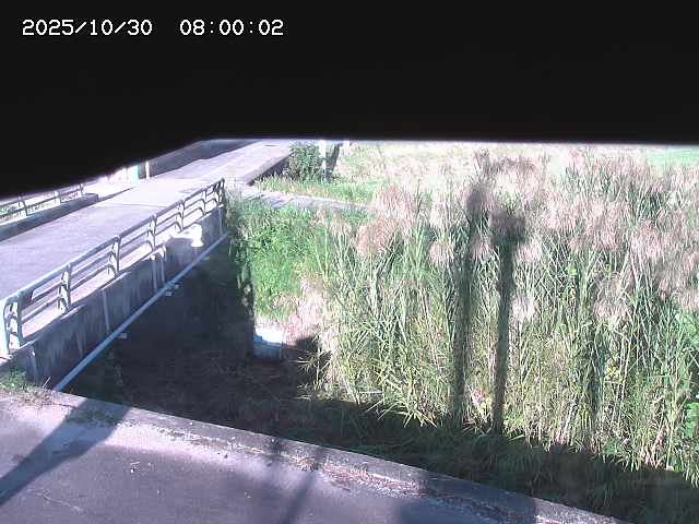 北方川12025/10/31 08:00