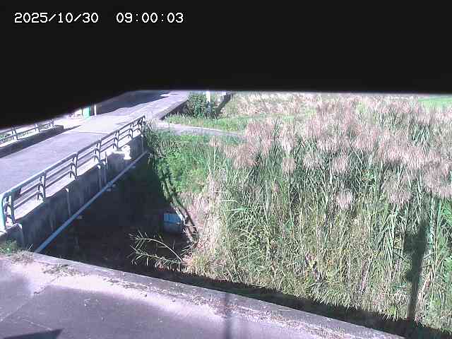 北方川12025/10/31 08:00