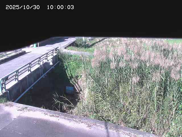 北方川12025/10/31 08:00