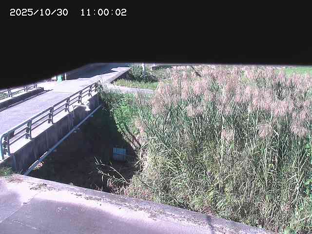 北方川12025/10/31 08:00