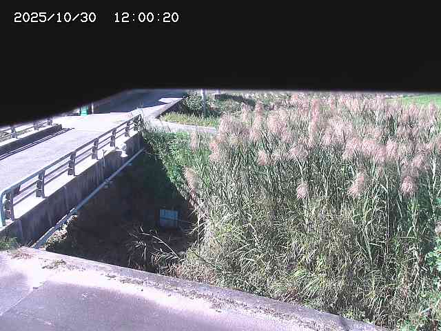 北方川12025/10/31 08:00