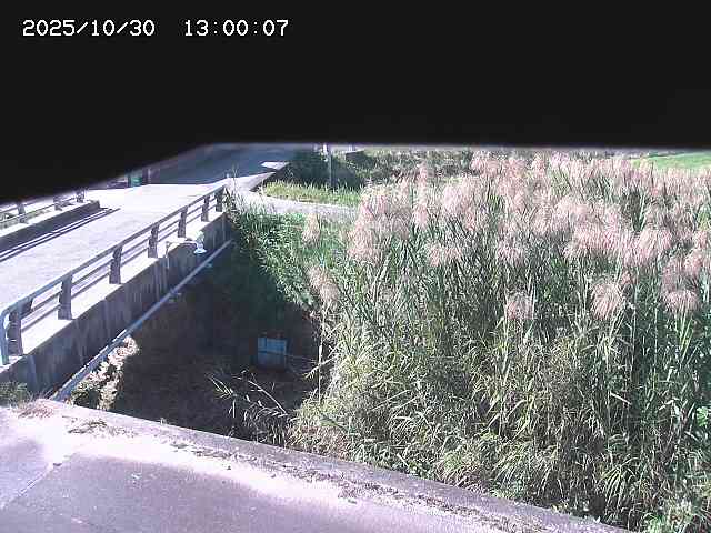 北方川12025/10/31 08:00