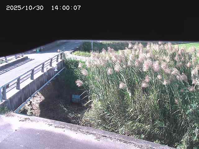 北方川12025/10/31 08:00