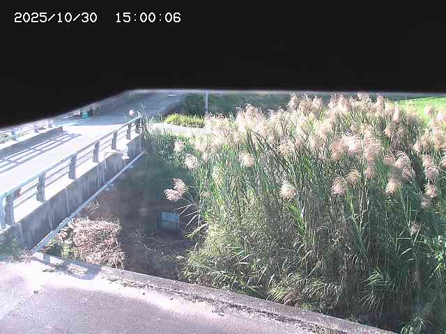 北方川12025/10/31 08:00