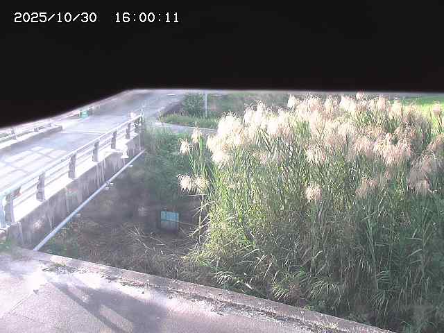 北方川12025/10/31 08:00