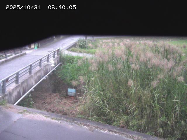 北方川12025/10/31 08:00