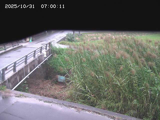 北方川12025/10/31 08:00