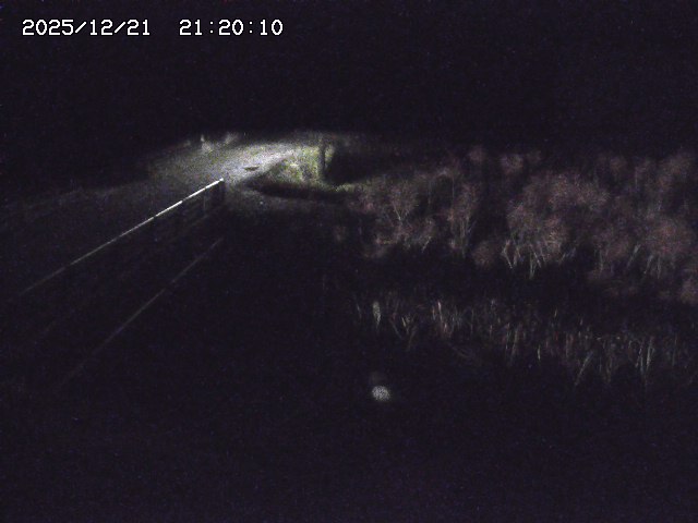 北方川１2025/12/22 0:50:00