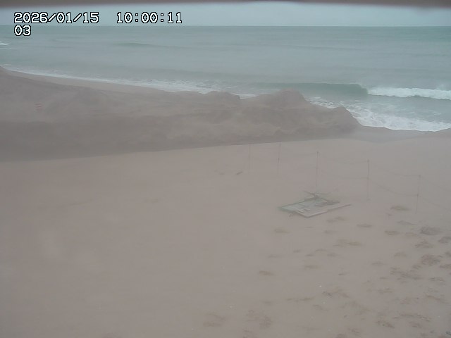 北条川放水路１2026/01/15 23:10:00