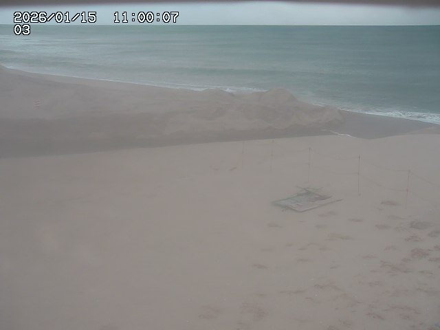 北条川放水路１2026/01/15 23:10:00