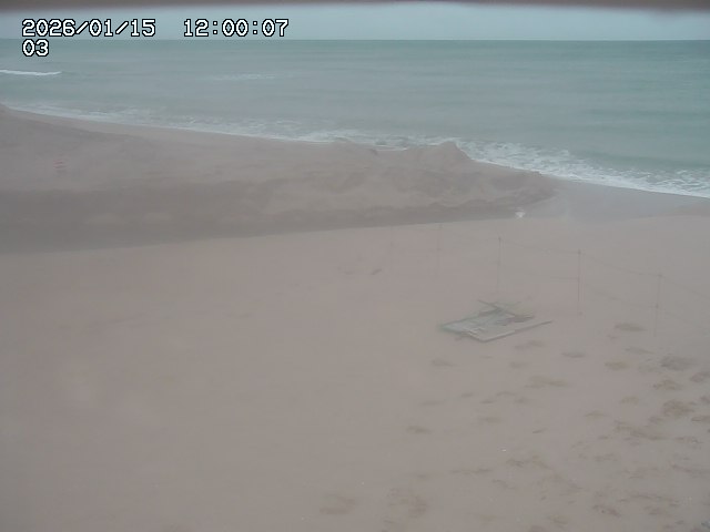 北条川放水路１2026/01/15 23:10:00