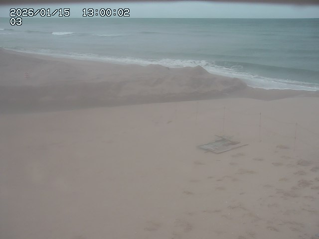 北条川放水路１2026/01/15 23:10:00