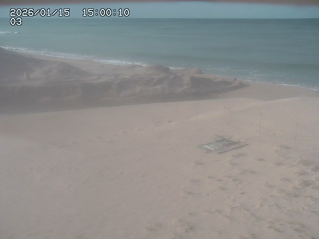 北条川放水路１2026/01/15 23:10:00