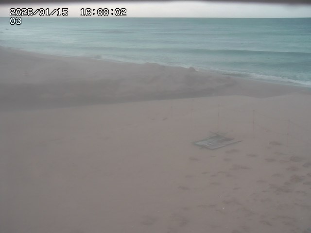 北条川放水路１2026/01/15 23:10:00