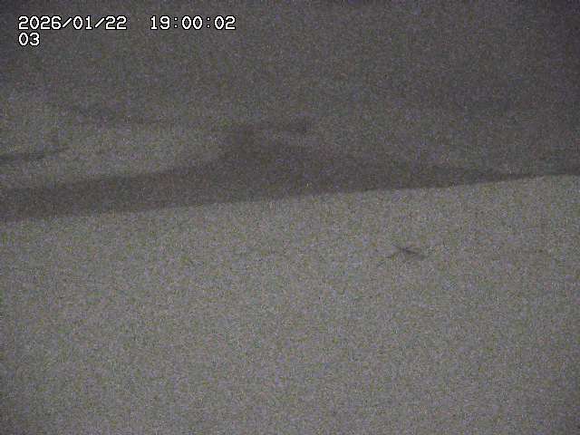 北条川放水路１2026/01/23 3:00:00