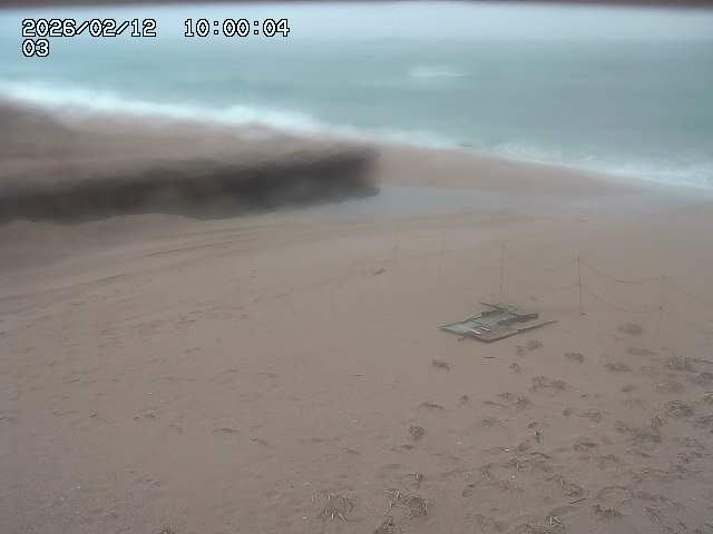 北条川放水路１2026/02/13 3:20:00