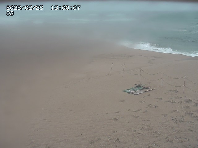 北条川放水路１2026/02/27 4:00:00