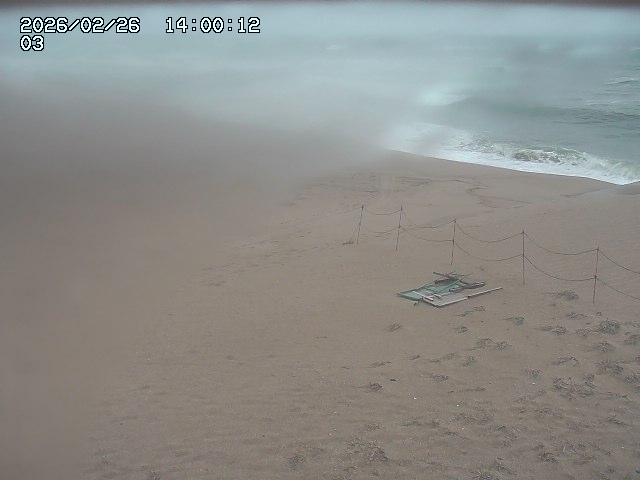 北条川放水路１2026/02/27 4:00:00