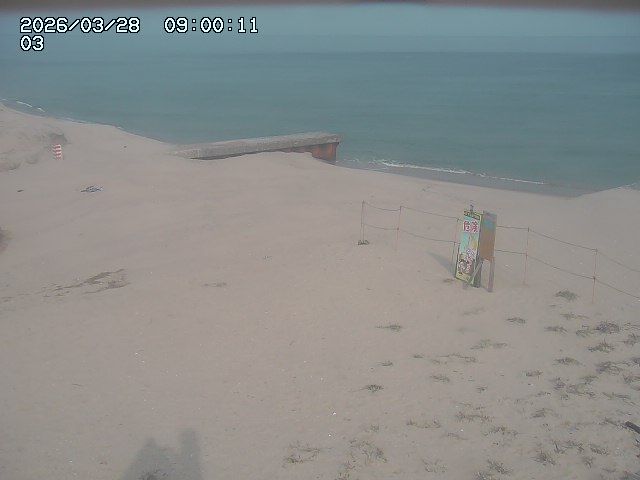 北条川放水路１2026/03/29 5:10:00