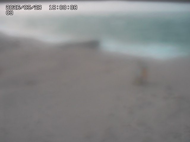 北条川放水路１2026/03/29 5:10:00