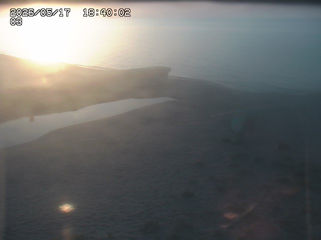 北条川放水路１2026/05/17 20:50:00