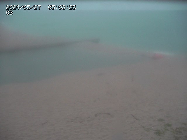 北条川放水路１2026/05/28 4:00:00