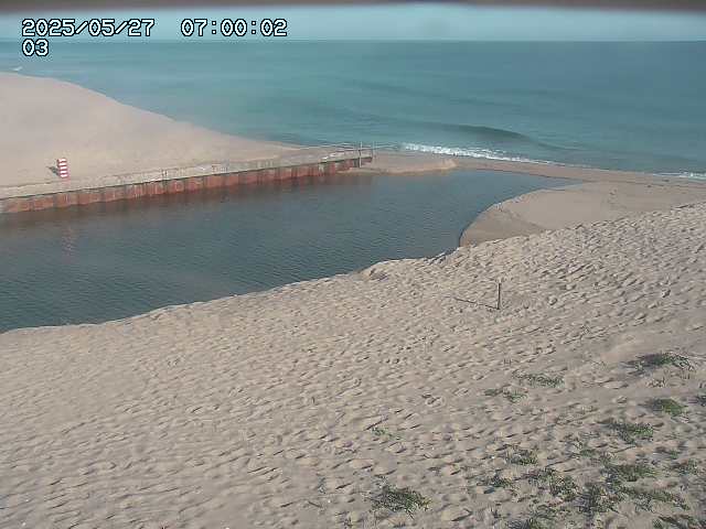北条川放水路１2026/05/28 4:00:00