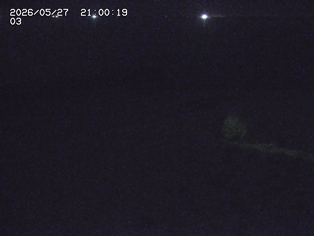 北条川放水路１2026/05/28 4:00:00