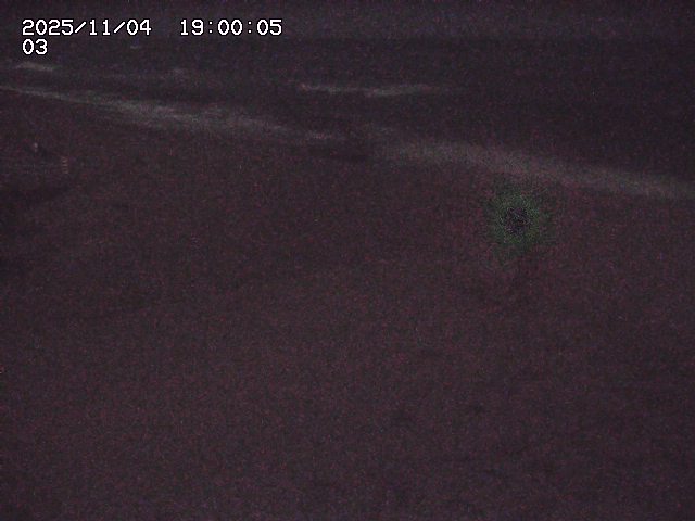 北条川放水路１2025/11/05 4:10:00