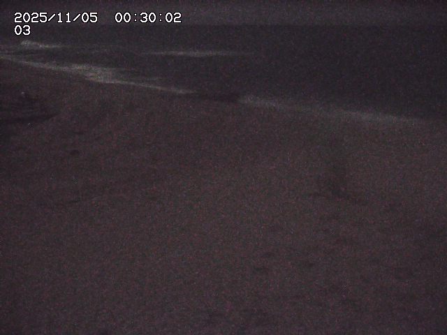 北条川放水路１2025/11/05 4:10:00