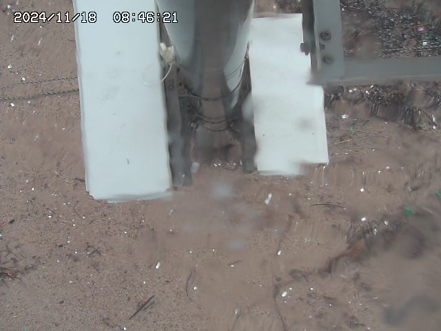 北条川放水路１2025/11/19 4:50:00