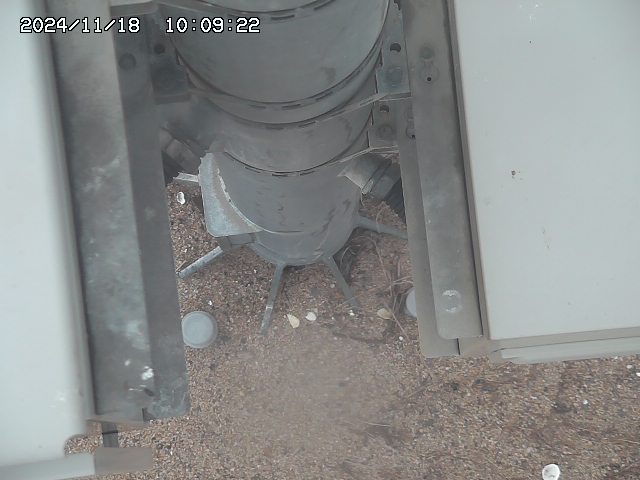 北条川放水路１2025/11/19 4:50:00