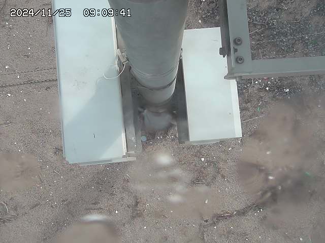 北条川放水路１2025/11/26 6:50:00