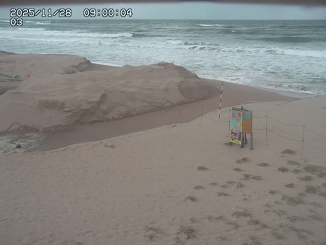 北条川放水路１2025/11/29 8:50:00