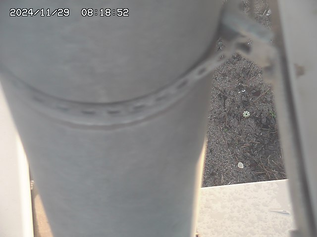 北条川放水路１2025/11/29 8:50:00