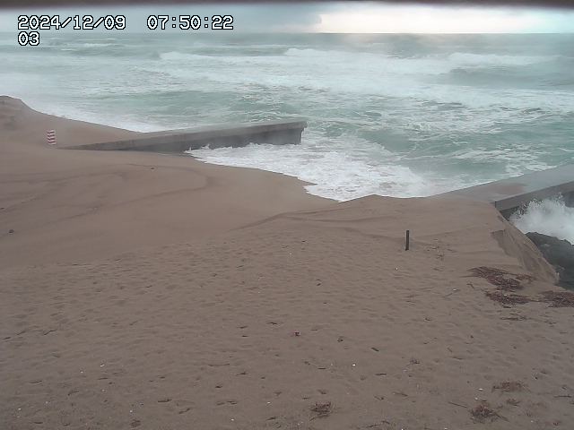 北条川放水路１2025/12/09 8:10:00