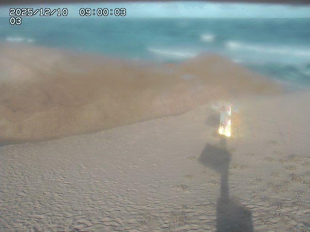 北条川放水路１2025/12/10 9:40:00