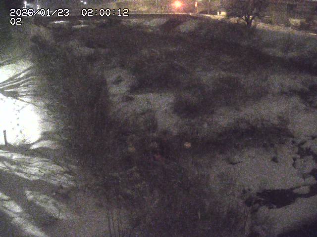 東郷川１2026/01/24 2:20:00