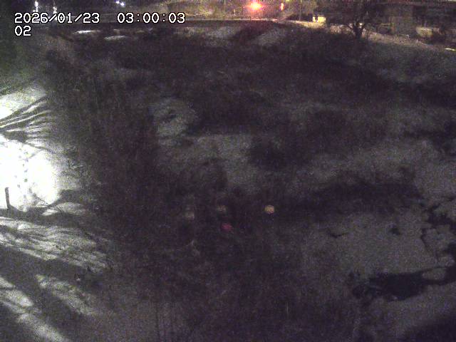 東郷川１2026/01/24 2:20:00