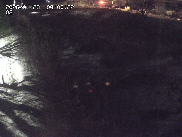 東郷川１2026/01/24 2:20:00