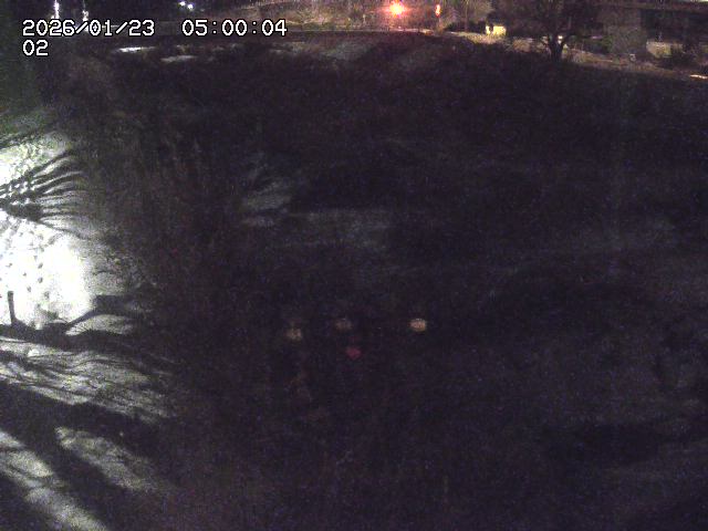 東郷川１2026/01/24 2:20:00