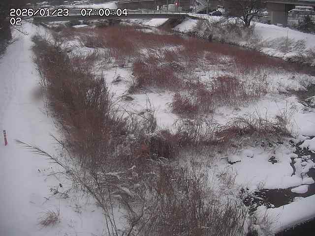 東郷川１2026/01/24 2:20:00