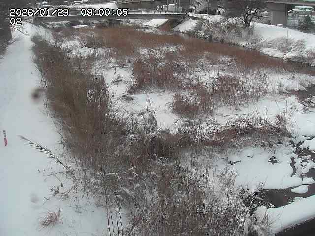 東郷川１2026/01/24 2:20:00
