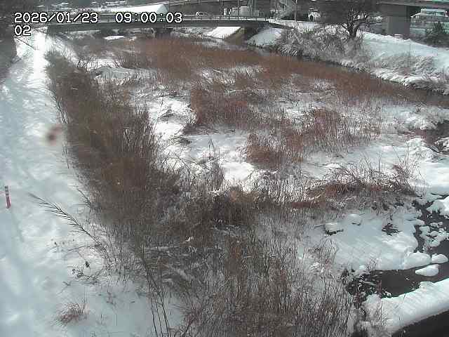 東郷川１2026/01/24 2:20:00