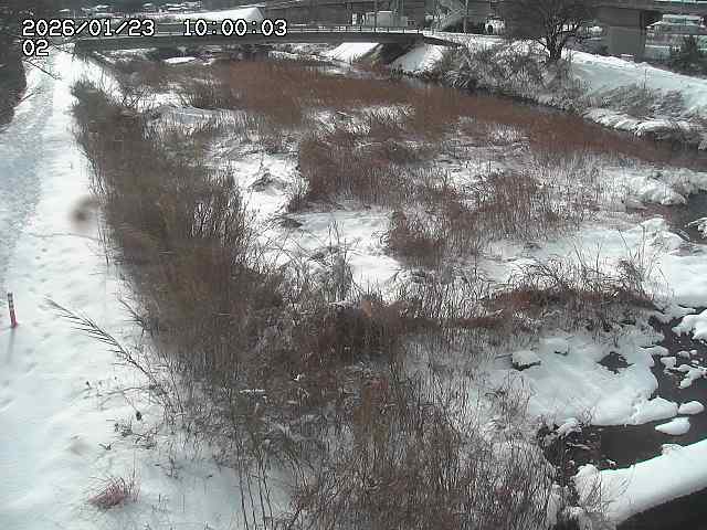 東郷川１2026/01/24 2:20:00