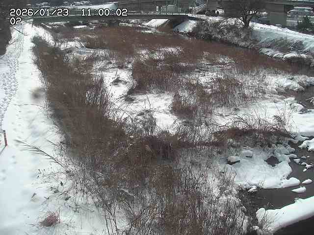 東郷川１2026/01/24 2:20:00