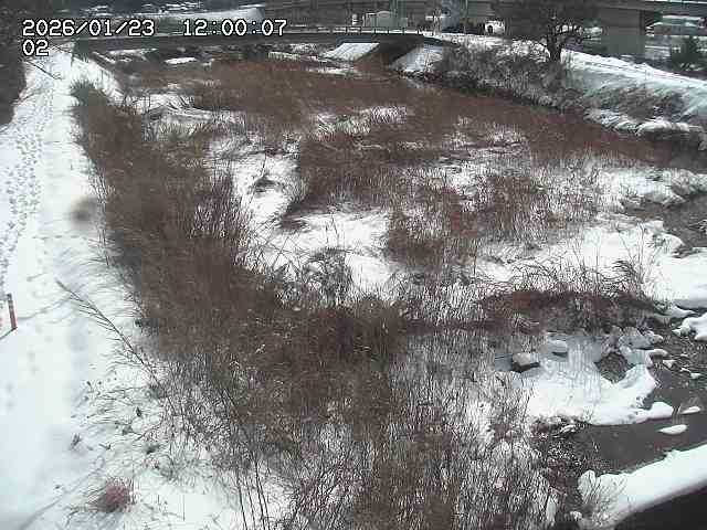 東郷川１2026/01/24 2:20:00