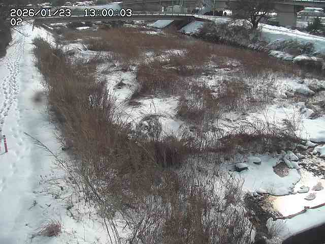 東郷川１2026/01/24 2:20:00