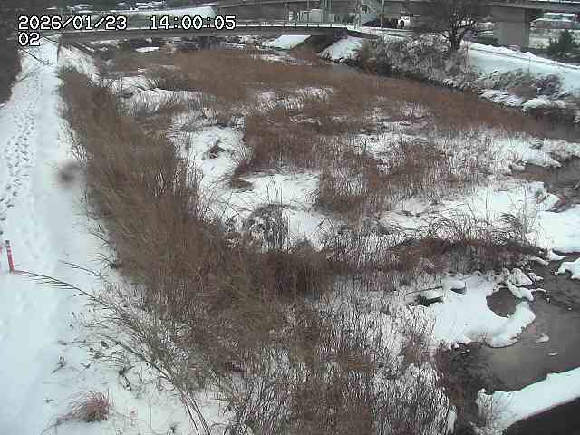 東郷川１2026/01/24 2:20:00
