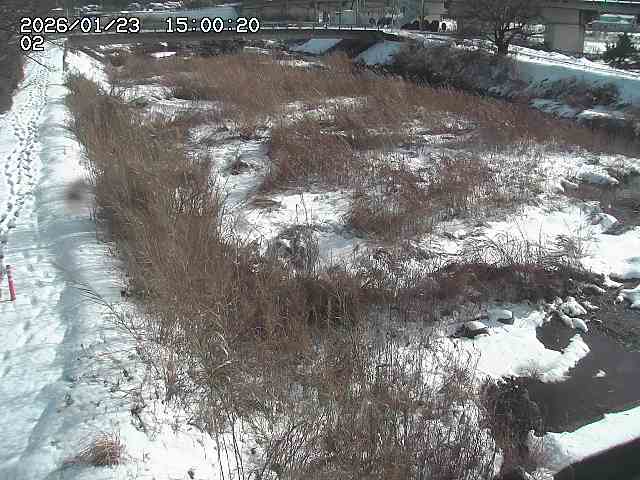 東郷川１2026/01/24 2:20:00